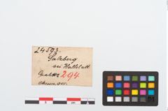 Etikett zu Eisenmesser (NHMW-PRAE-024593)